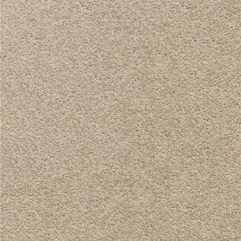 Almond Beige carpet swatch